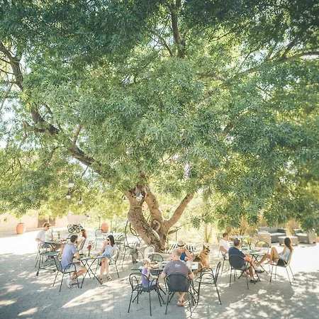 Selvella * Radicofani